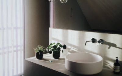 Bathroom Cleaning: What Are You Missing?