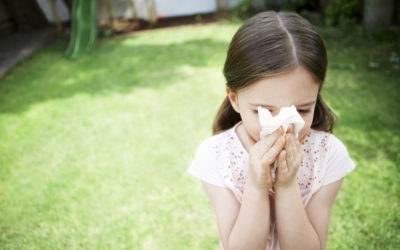 Combat Allergy Season with a Cleaner Home