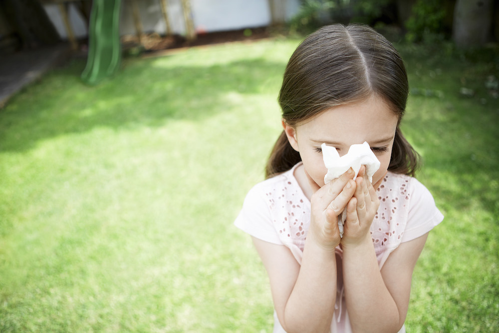 Combat Allergy Season with a Cleaner Home