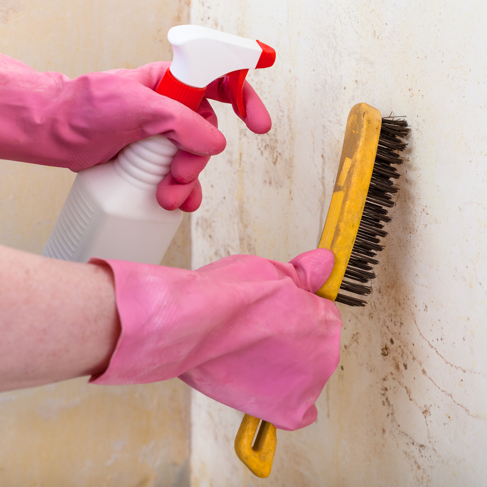 how-to-remove-bathroom-mildew-carnation-home-cleaning-inc