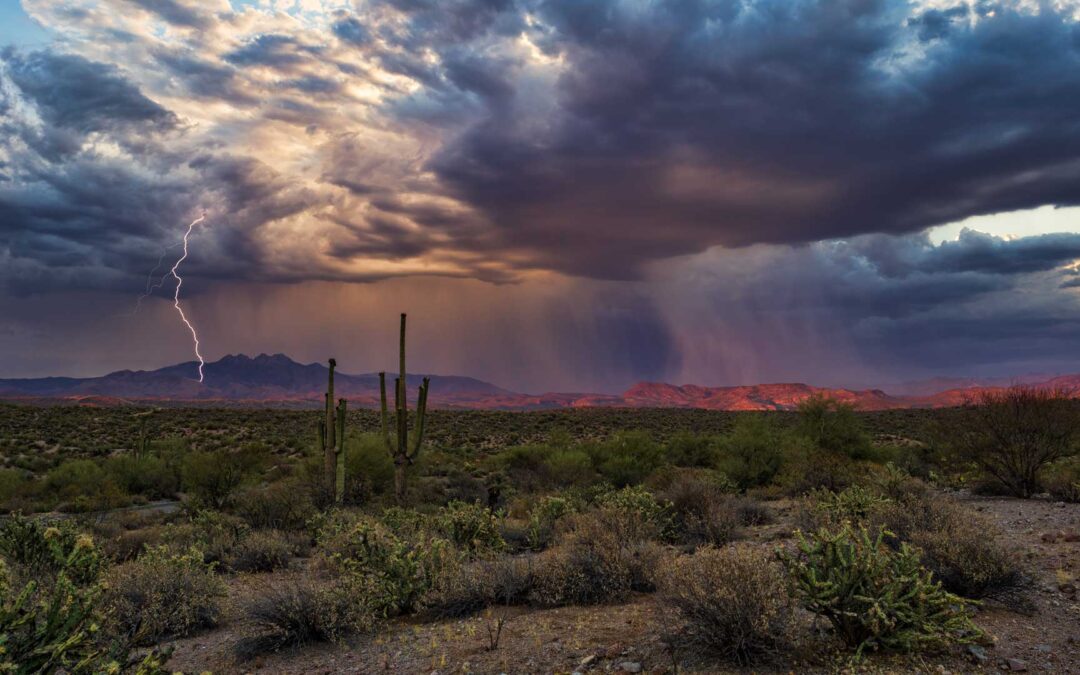 Are You Monsoon-Ready? Preparing Your Home for Arizona’s Summer Storms