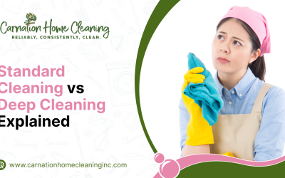 Standard Cleaning vs Deep Cleaning Explained