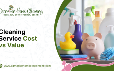 Cleaning Service Cost vs Value